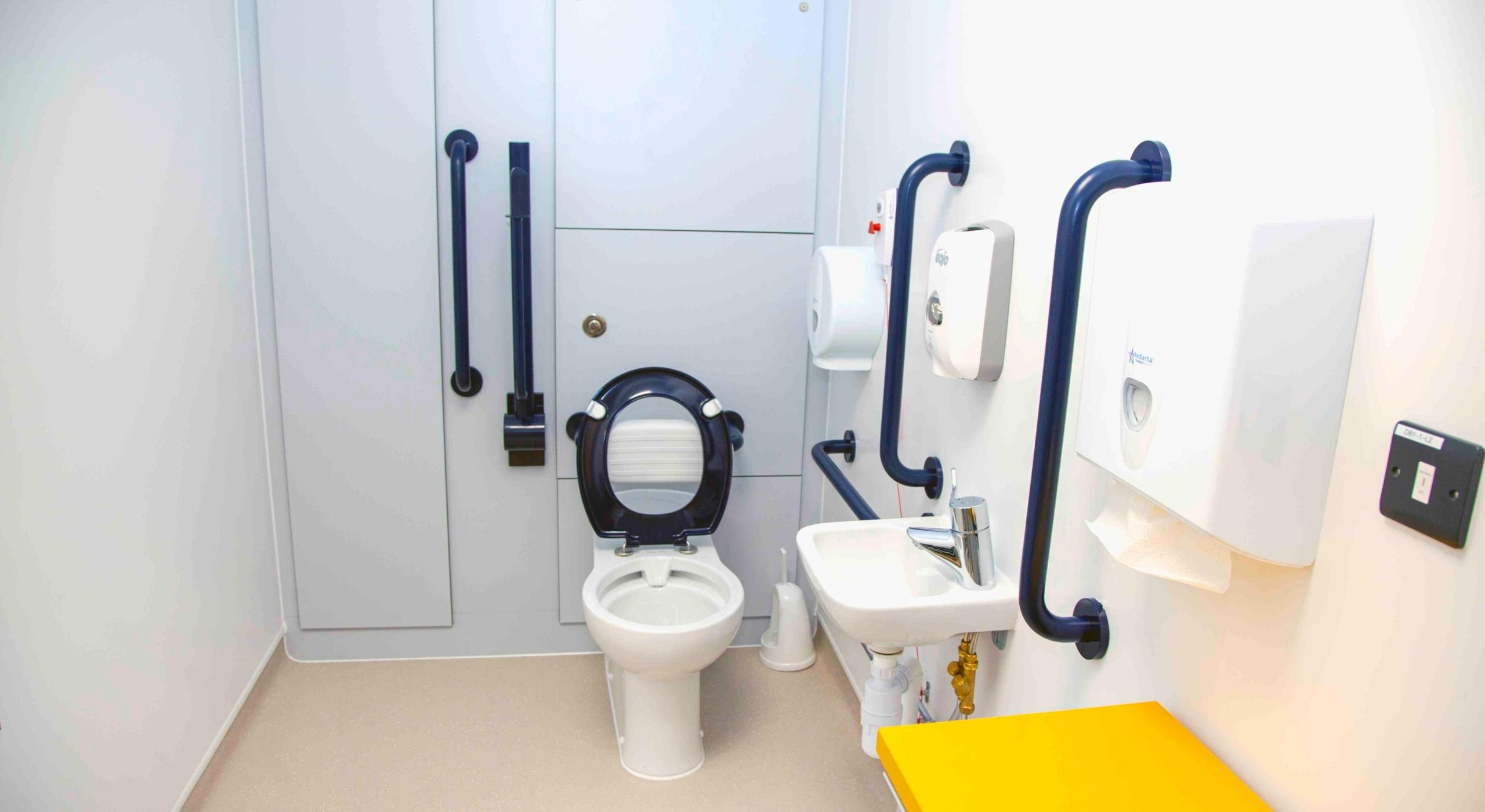 What to Know About Accessible Toilet Designs